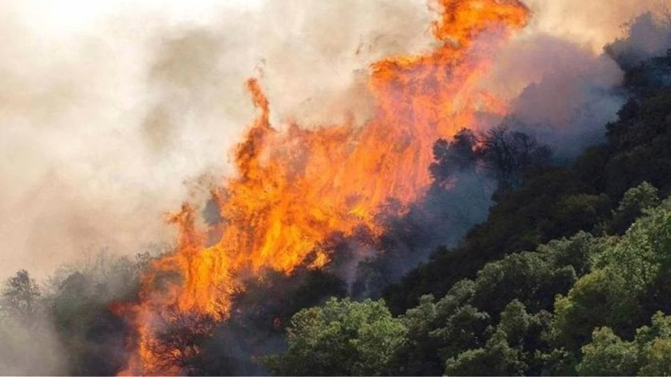 Φωτιά τώρα στους Αγίους Θεοδώρους